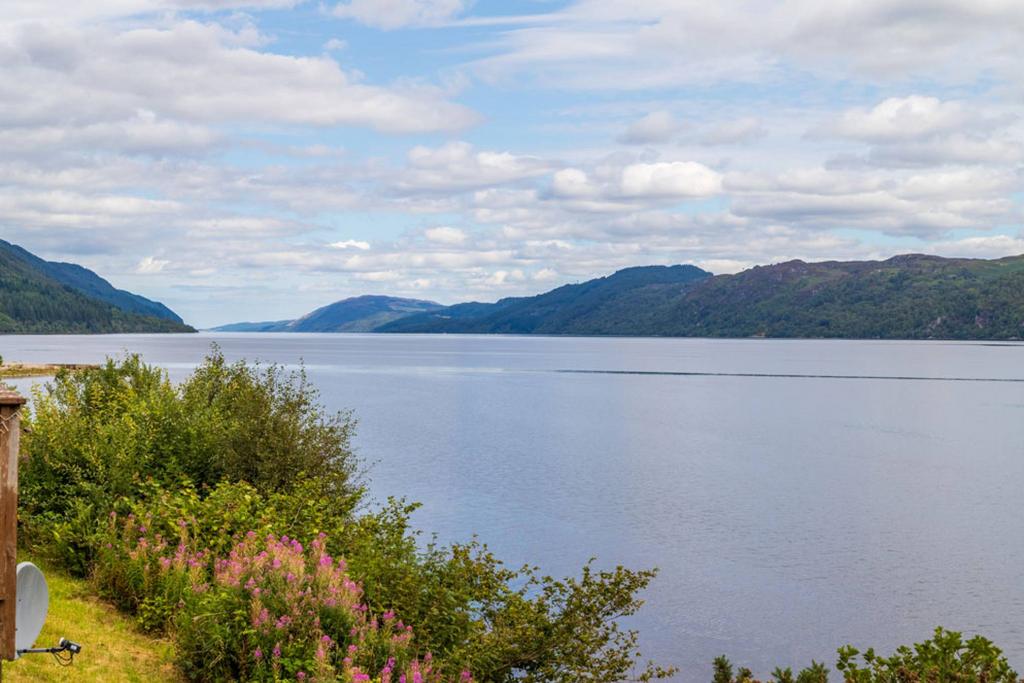 MFL4240411 694.jpg