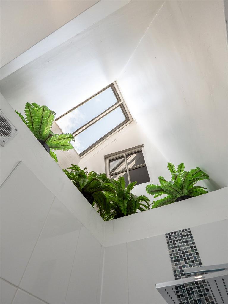 Bathroom Skylight