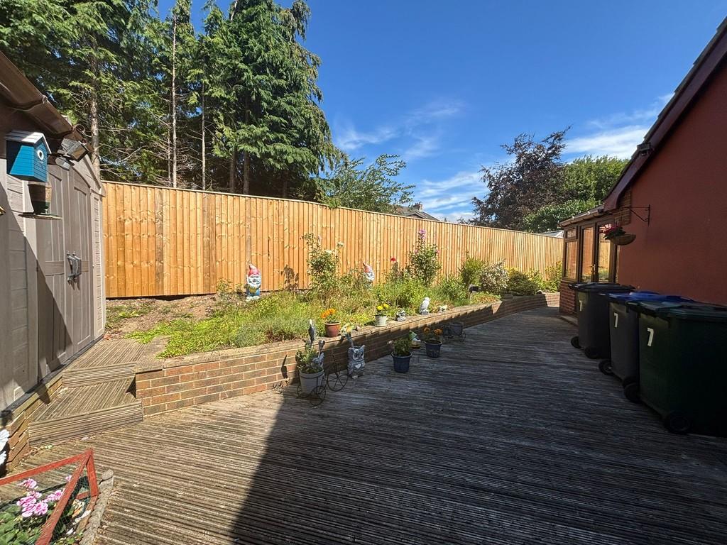 Back garden