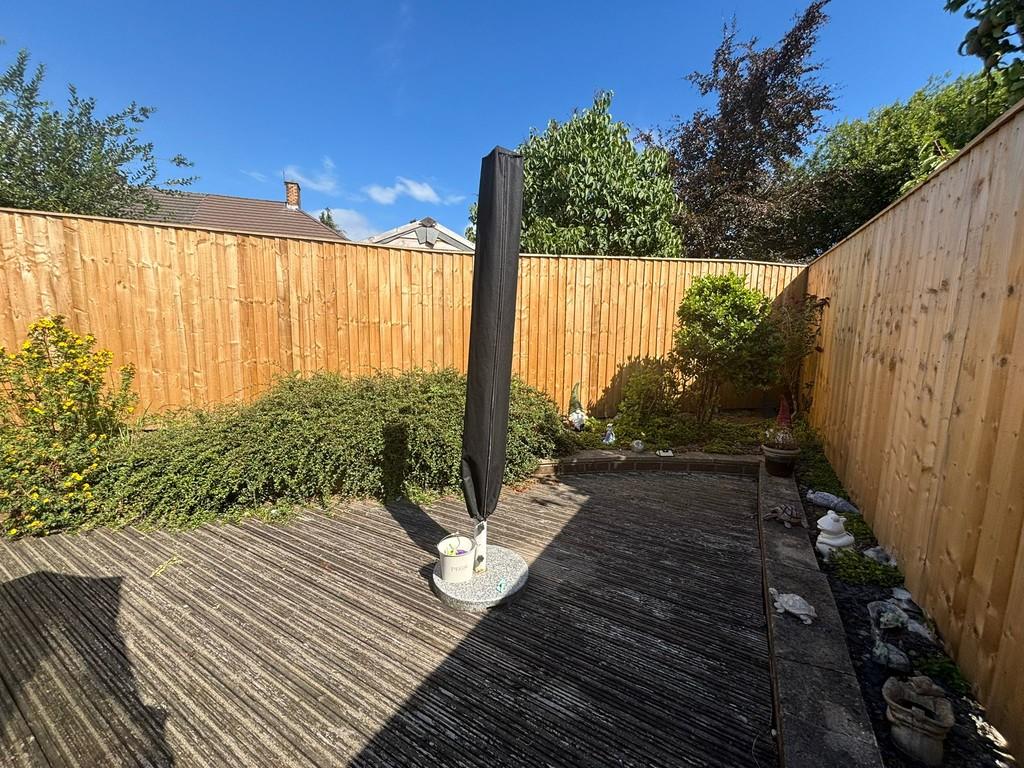 Back garden 3