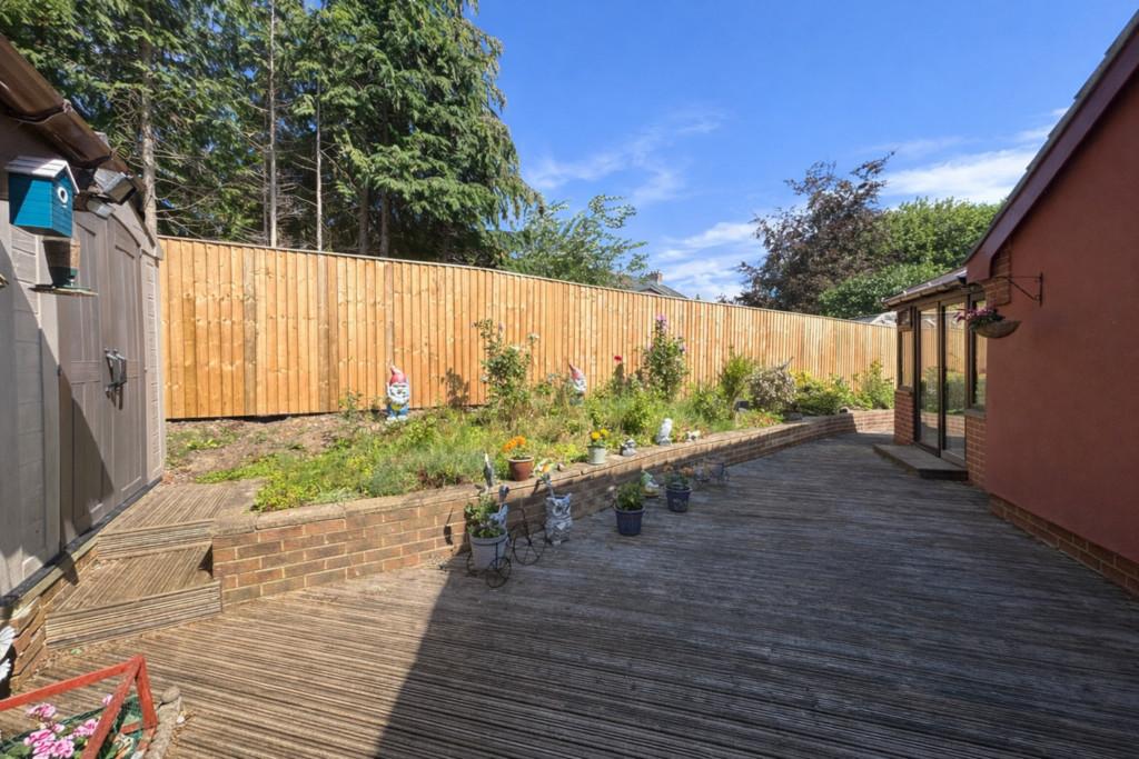 Back garden