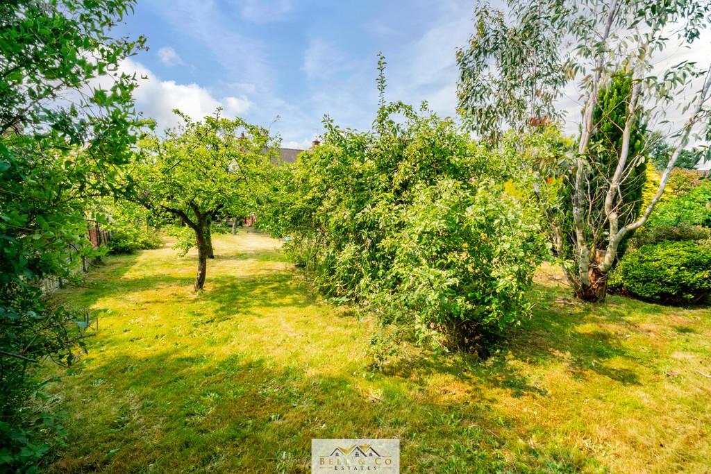Rear Garden 6
