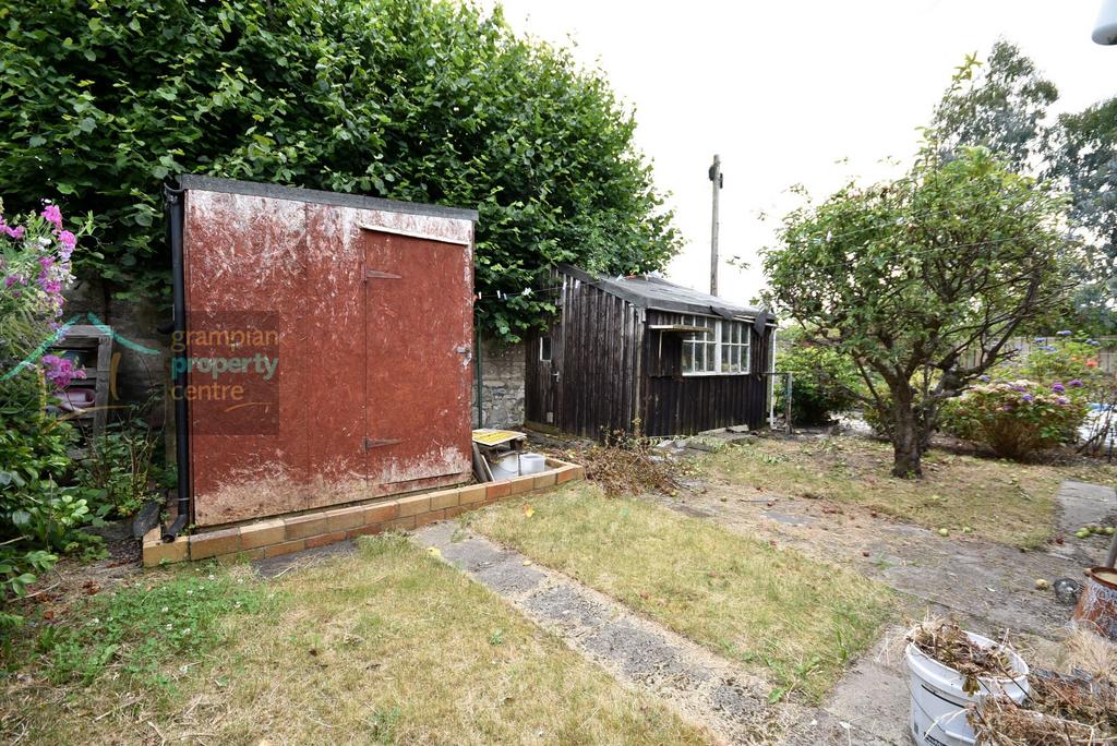 Garden 3 .JPG