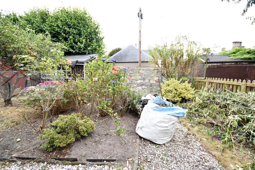 Garden.JPG