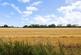 Additional image 20 of East Winterslow, Salisbury