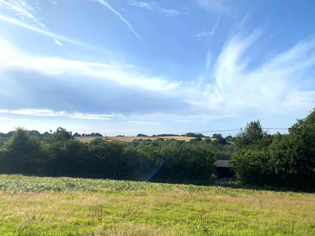 View from  the plot