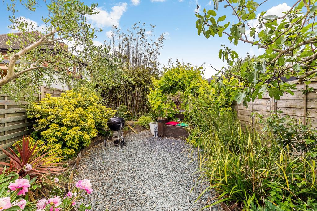 Garden Shot 2