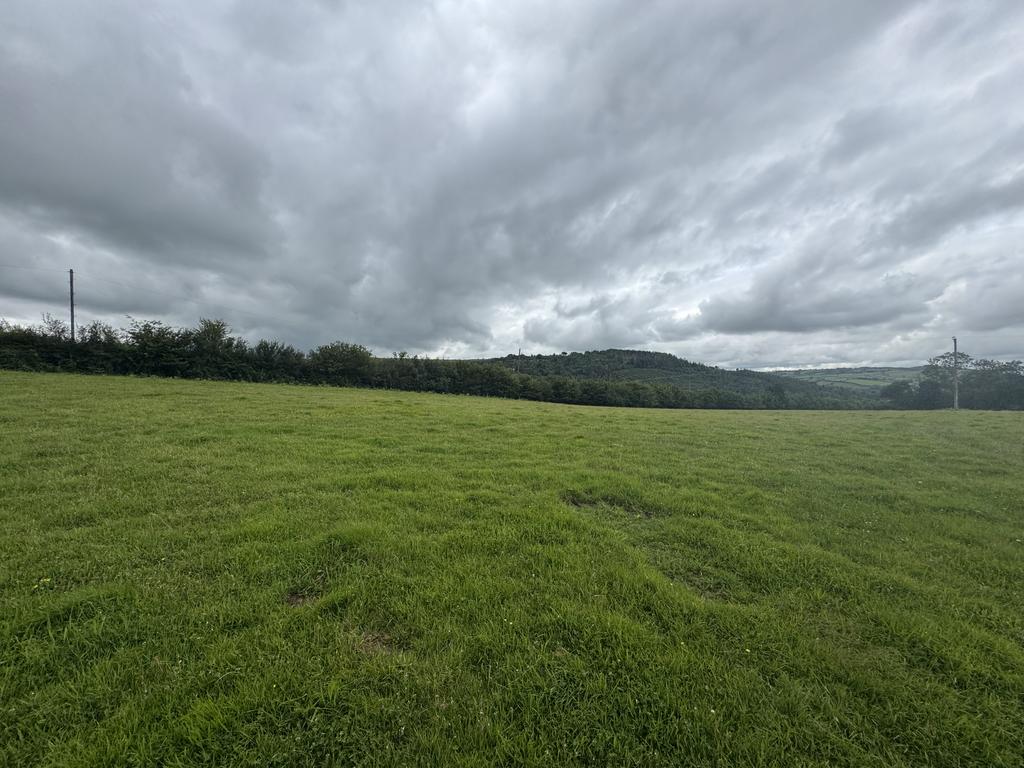 Land