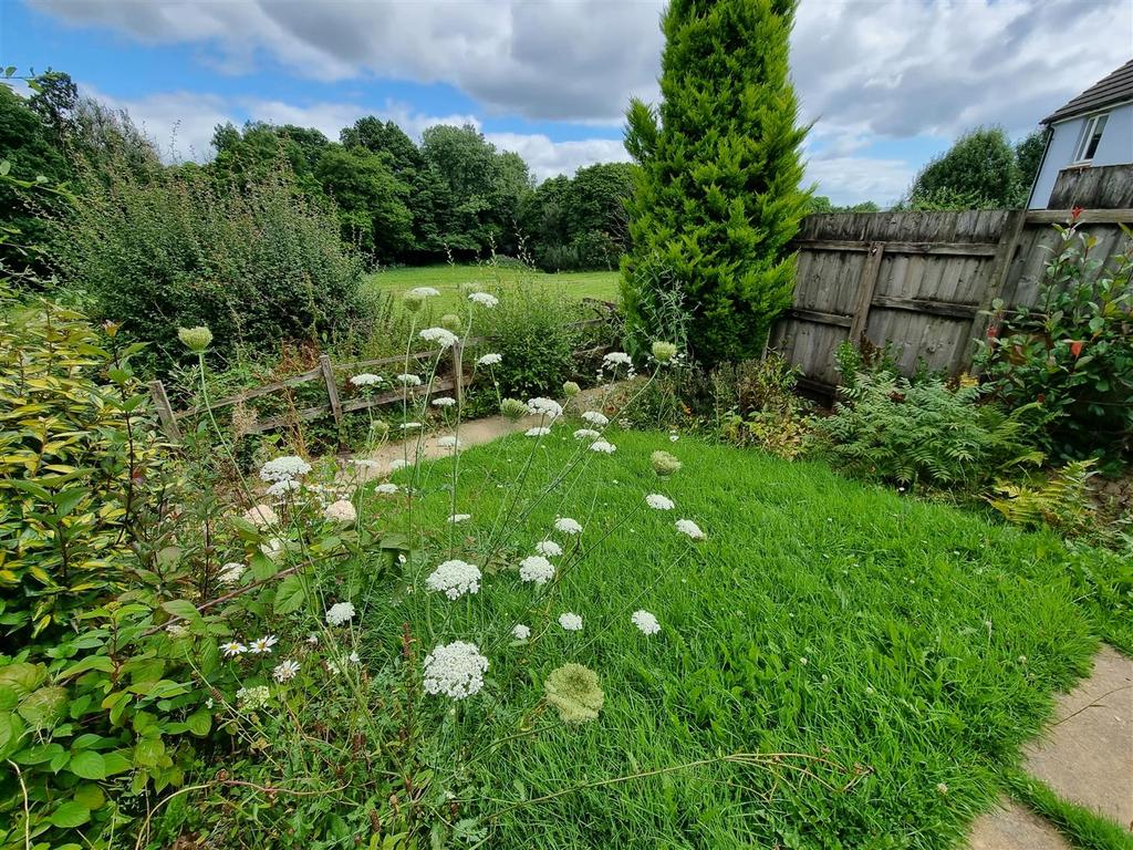 Lawn.jpg