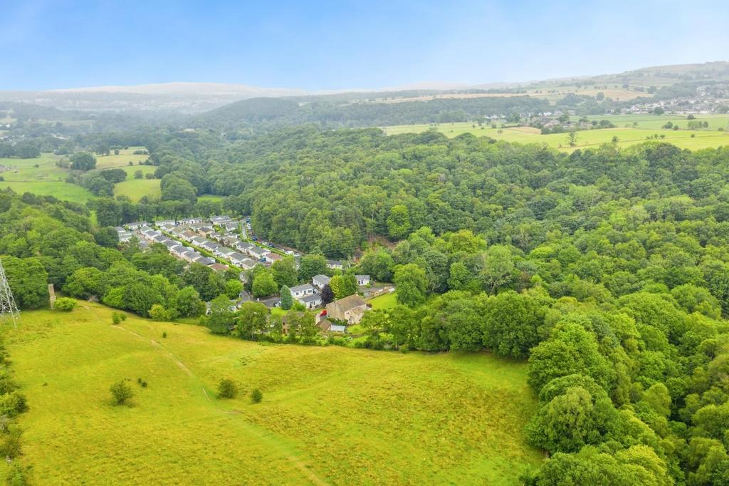 Dji 0943.jpg