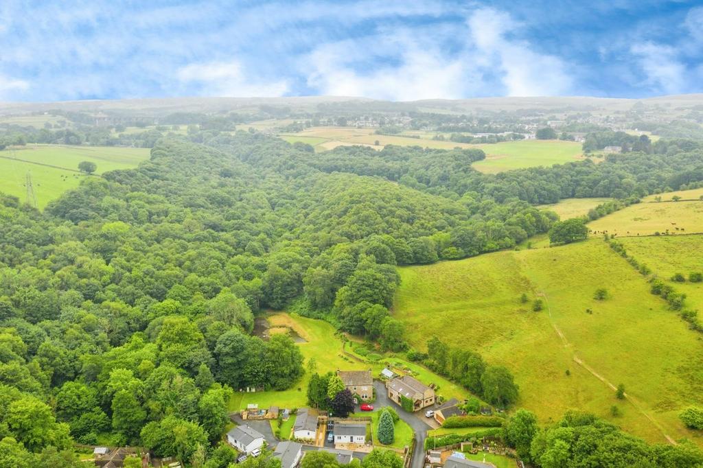 Dji 0945.jpg