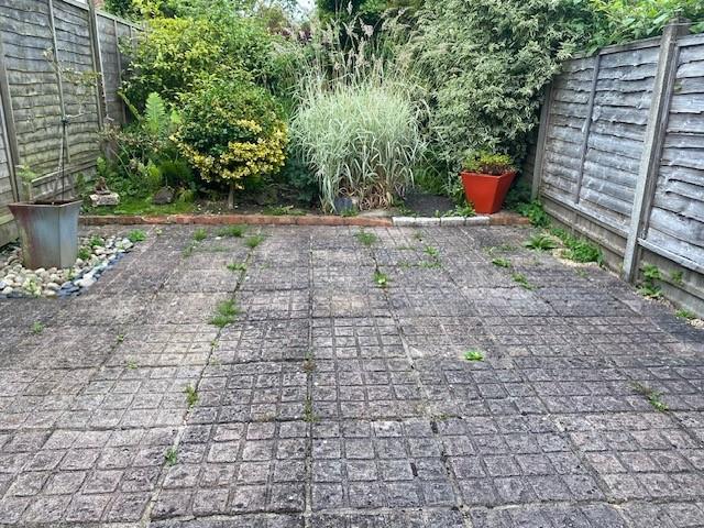 Patio garden.jpg