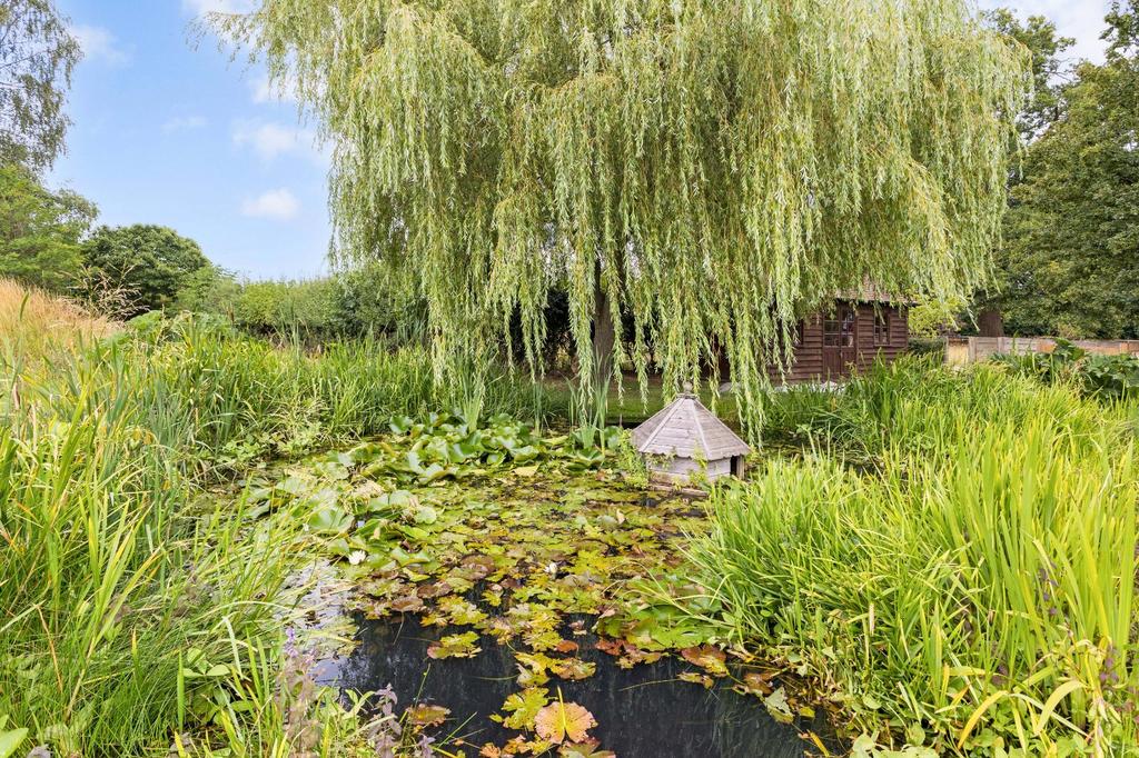 Pond
