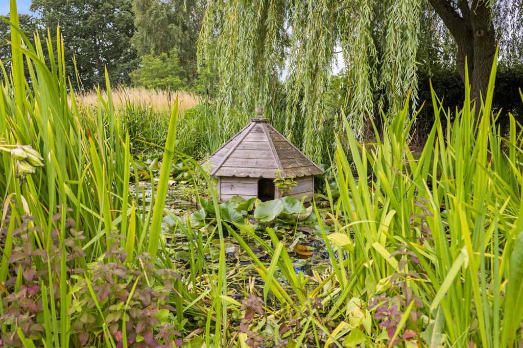Pond