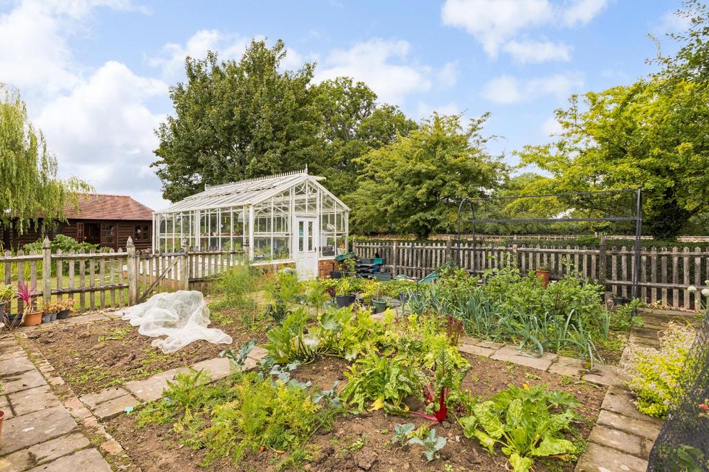 Vegetable Patch