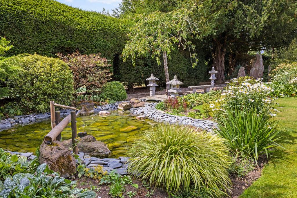 Pond