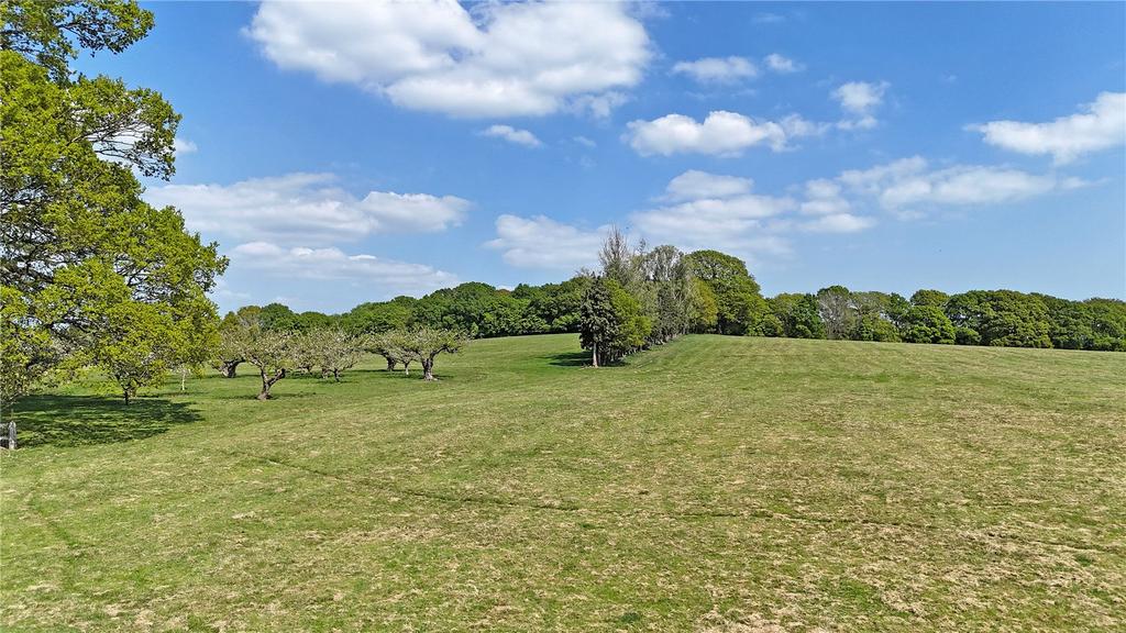 Field &amp; Orchard