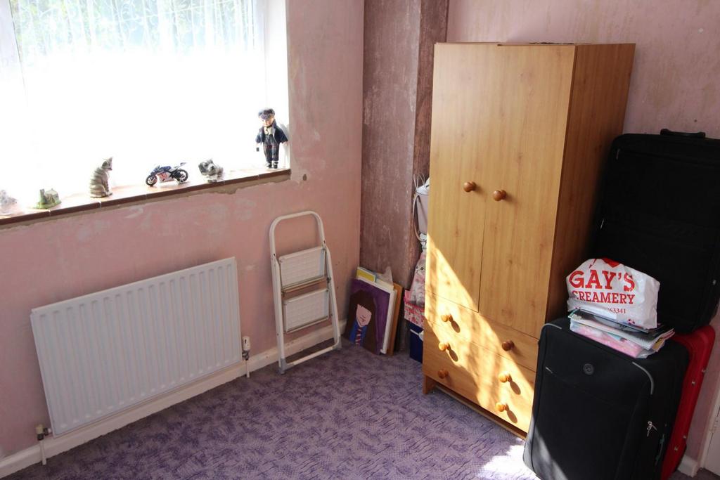 Img 0462.jpg