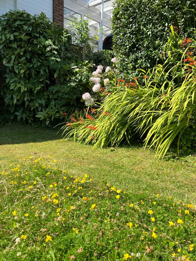Garden view, garden
