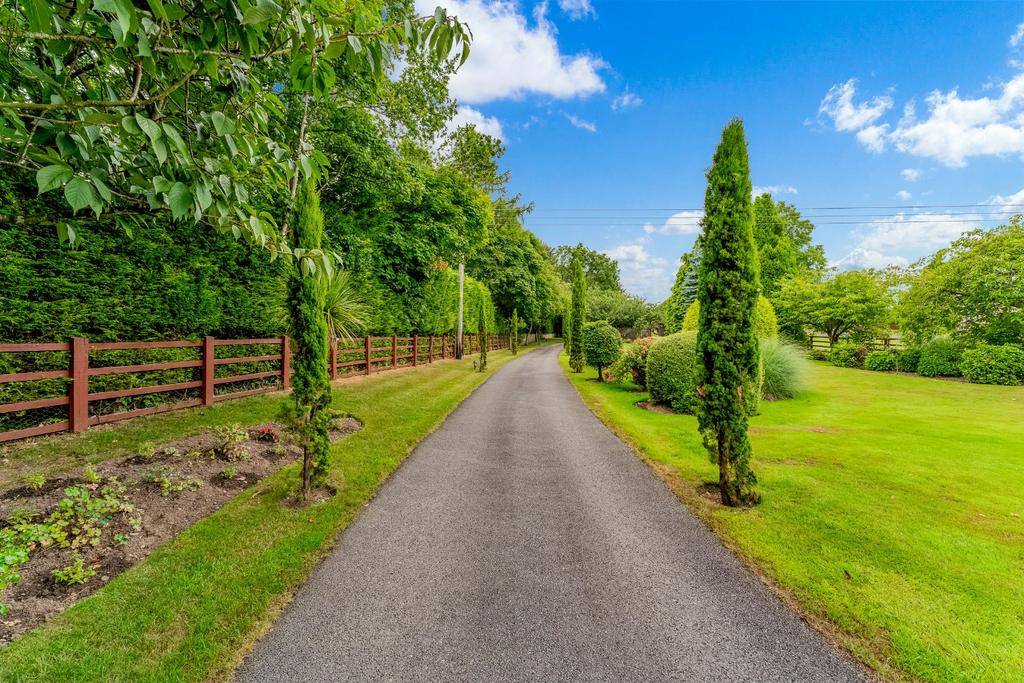 Driveway