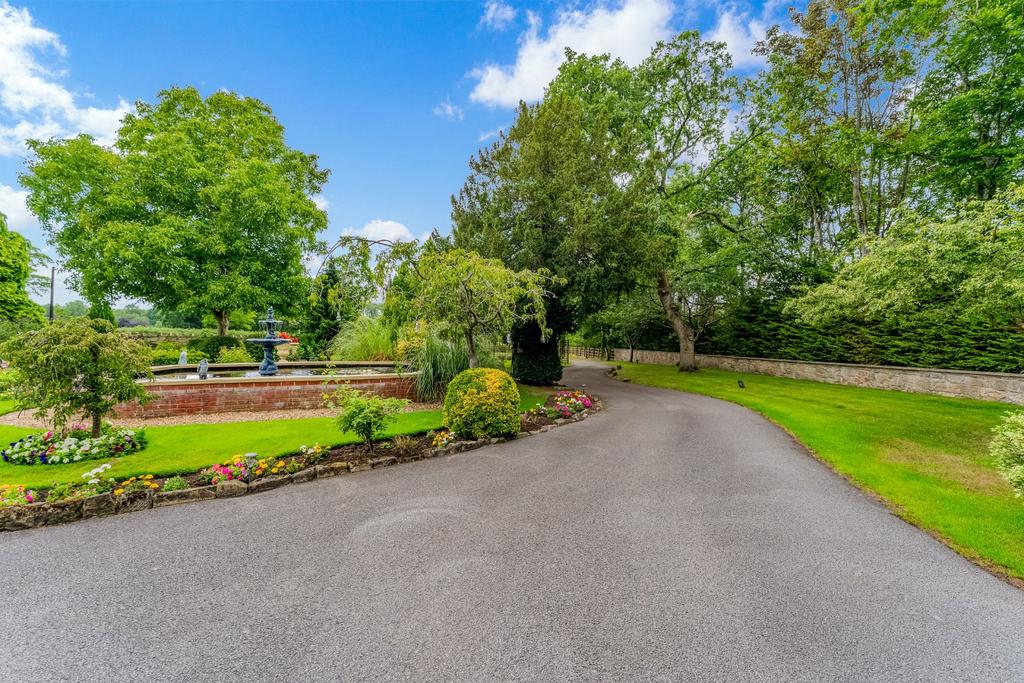 Driveway