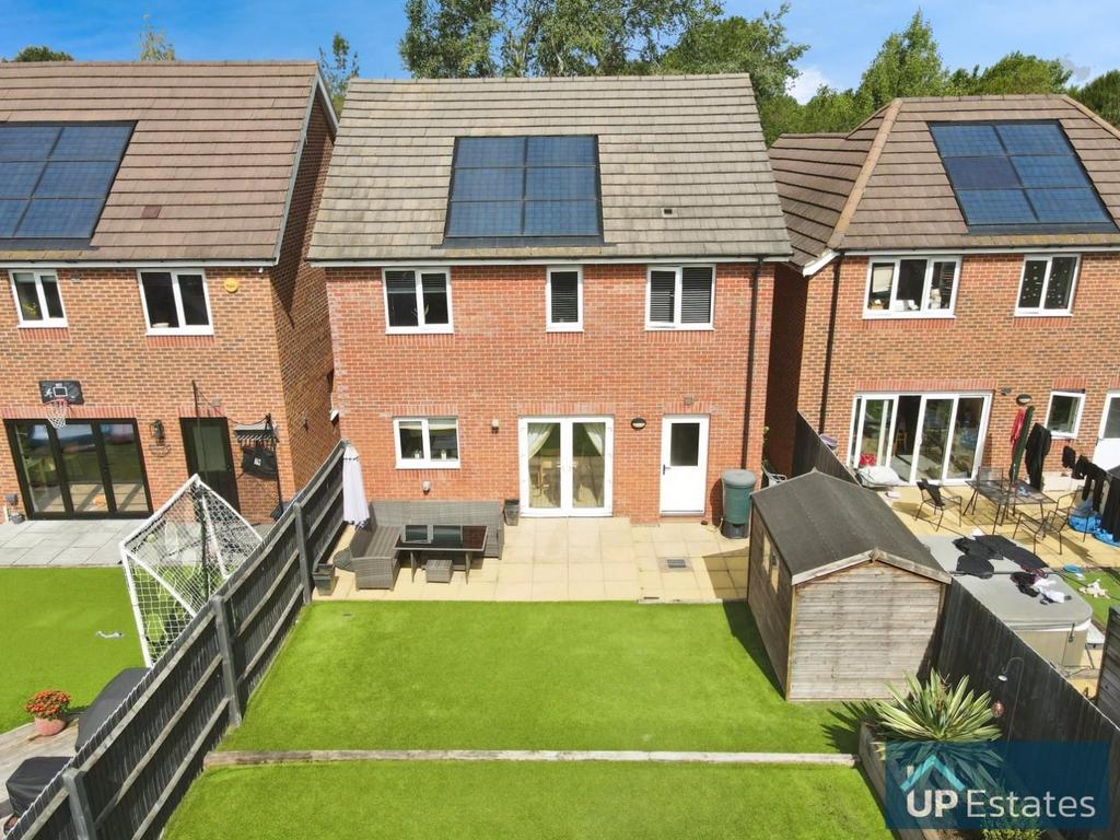 Rear aspect