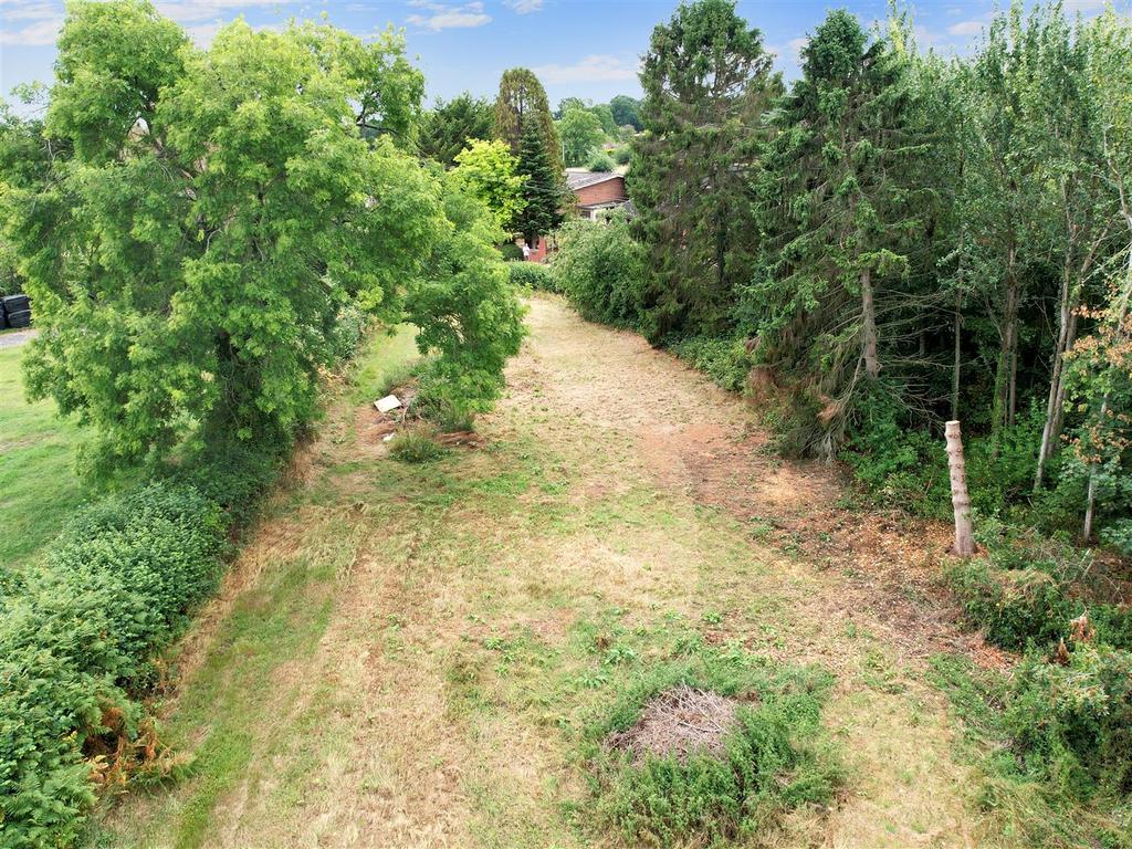 Field