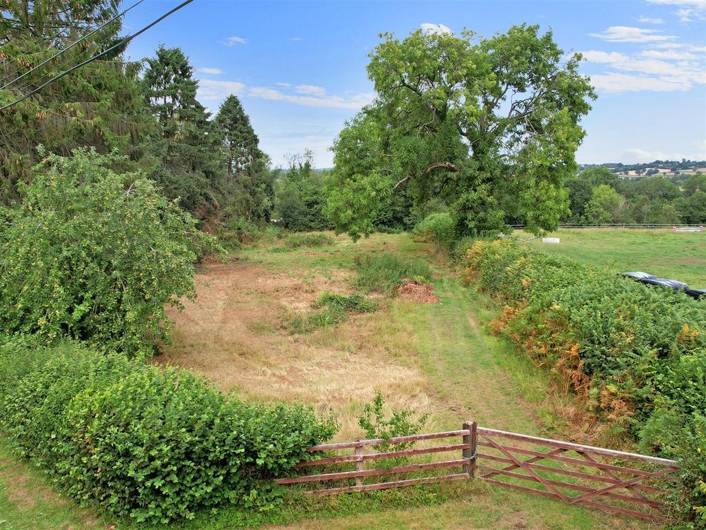 Field