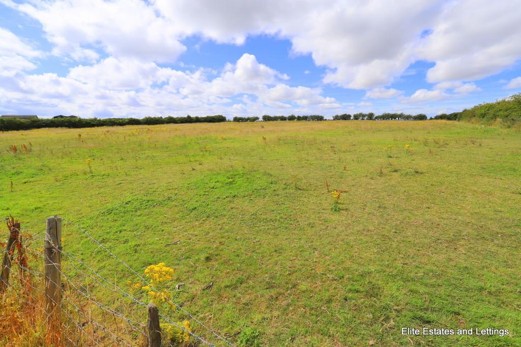 27 img 0791