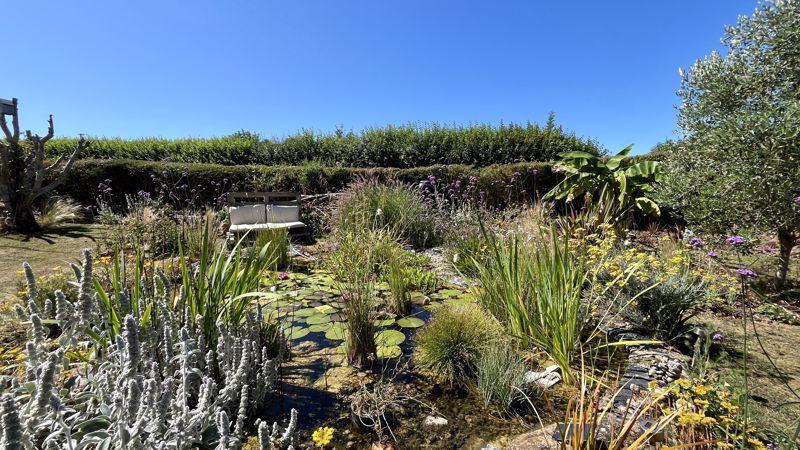 Wildlife Pond