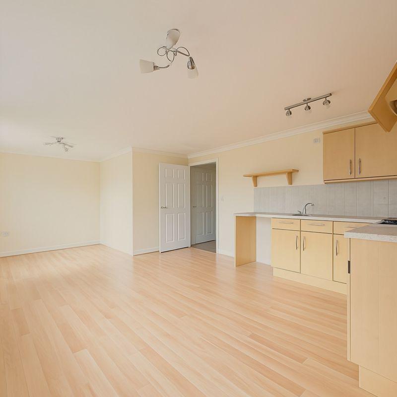 Kitchen/Lounge