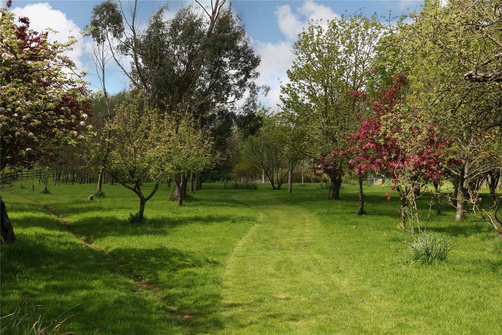 Orchard