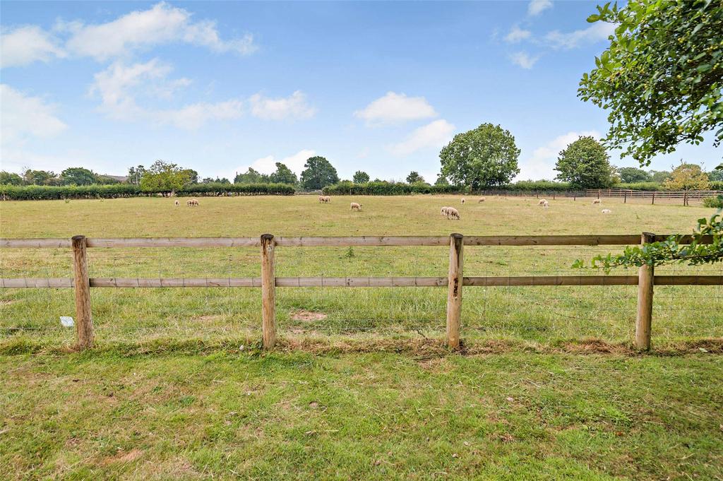 Paddocks and Stables