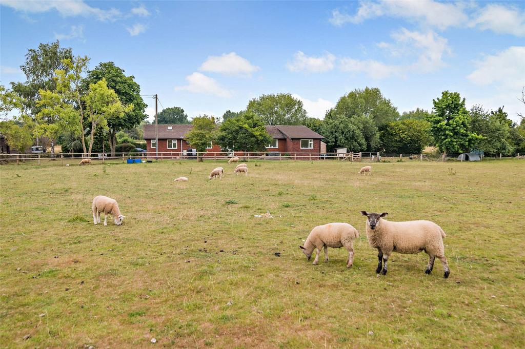 10 Acres