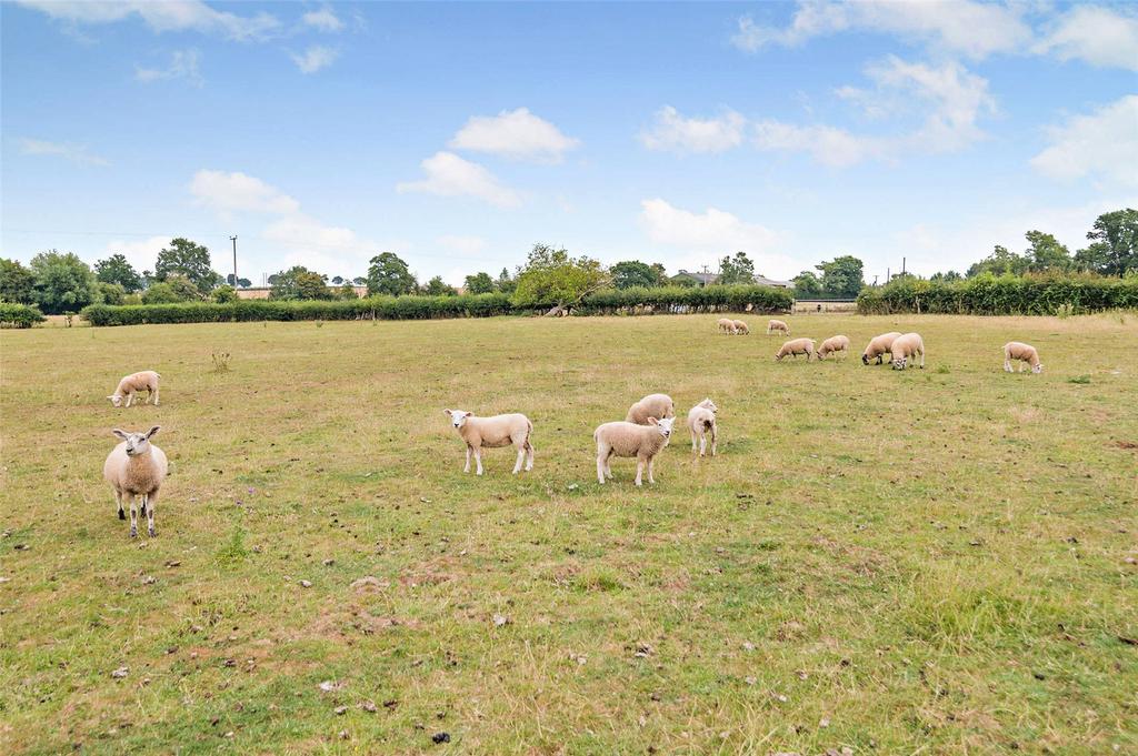 Grazing