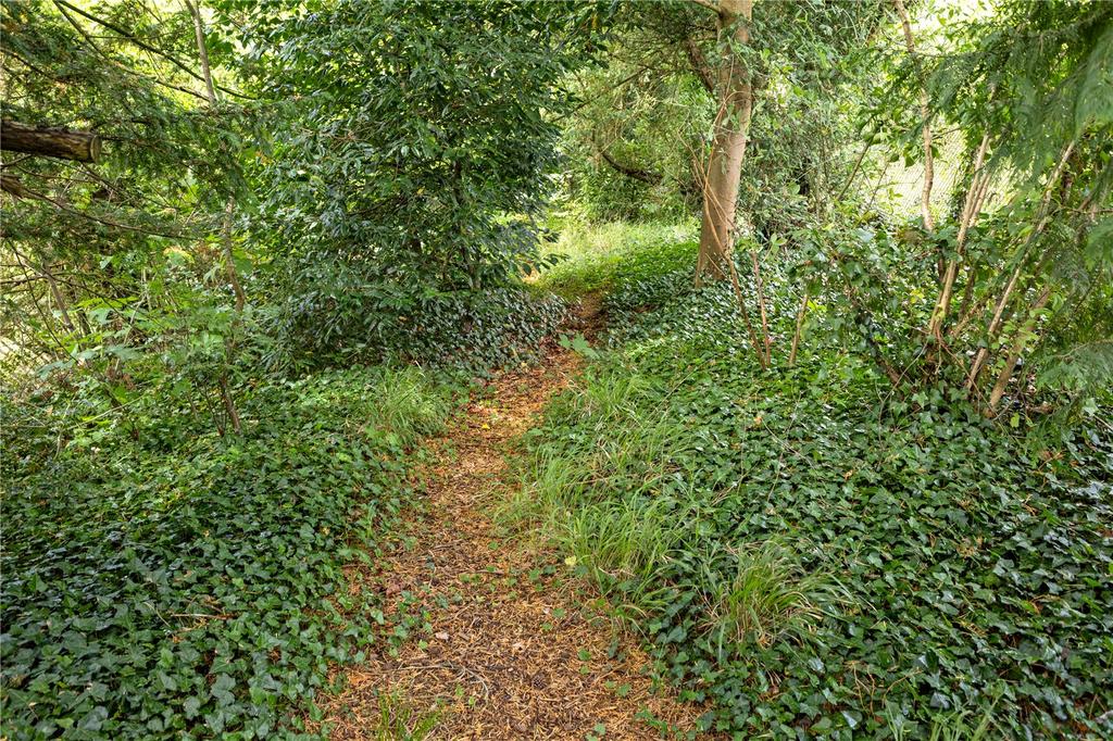 Wooded Area