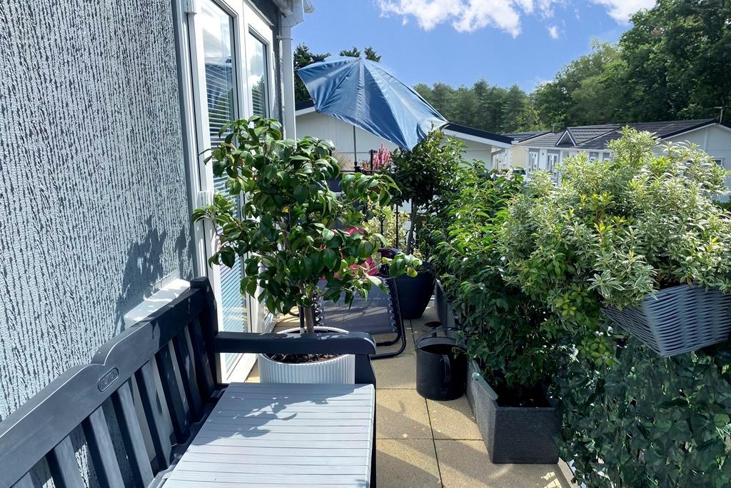 Raised Terrace