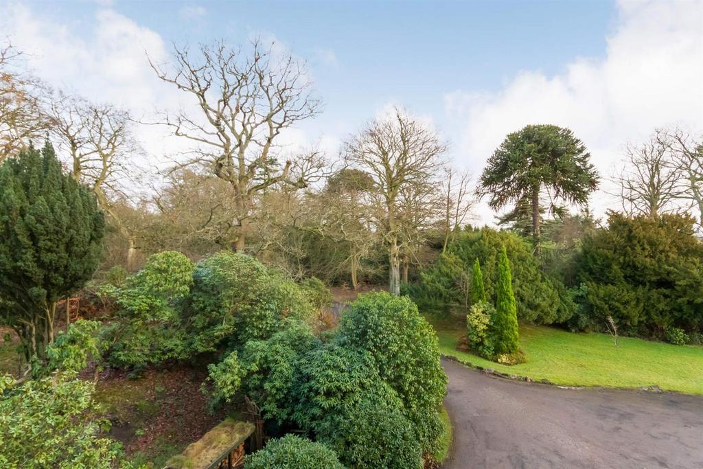 Property Image 34