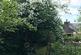 Additional image 30 of Tan Y Buarth, Llanfair