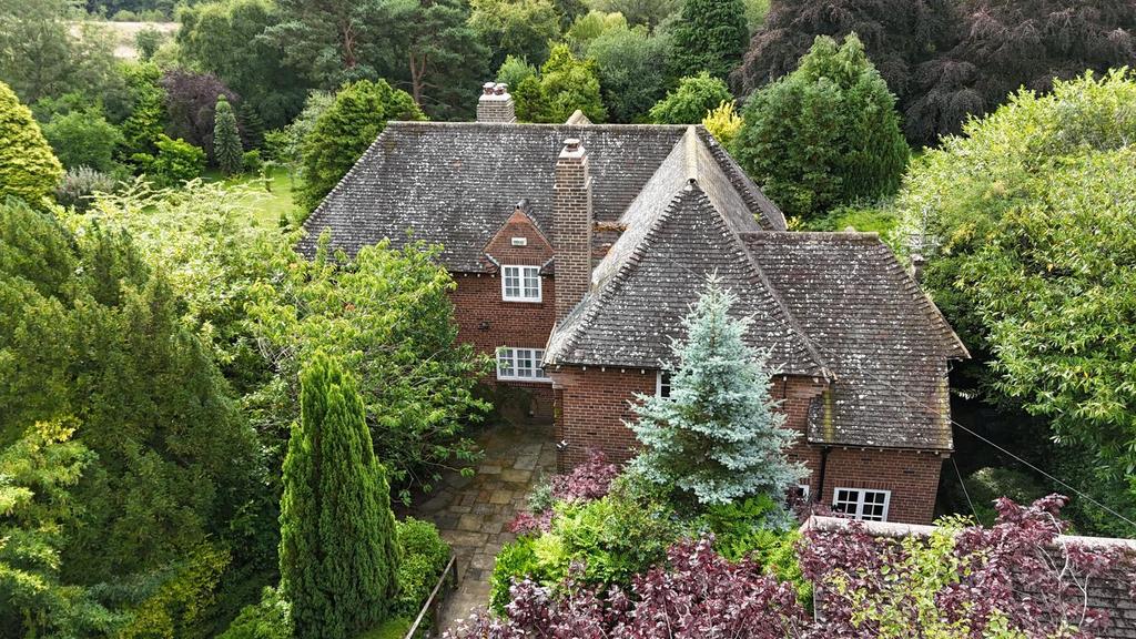 PHOTO-2025-07-29-10-22-22 3.jpeg