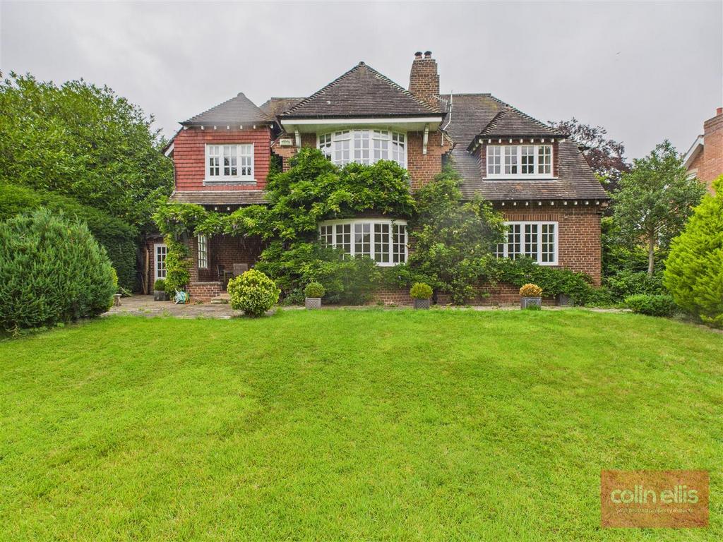 CAM05075 G0-PR0170-STILL013.jpg