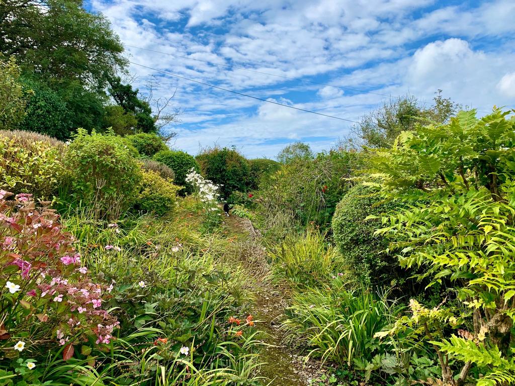 Rowan Cottage Garden