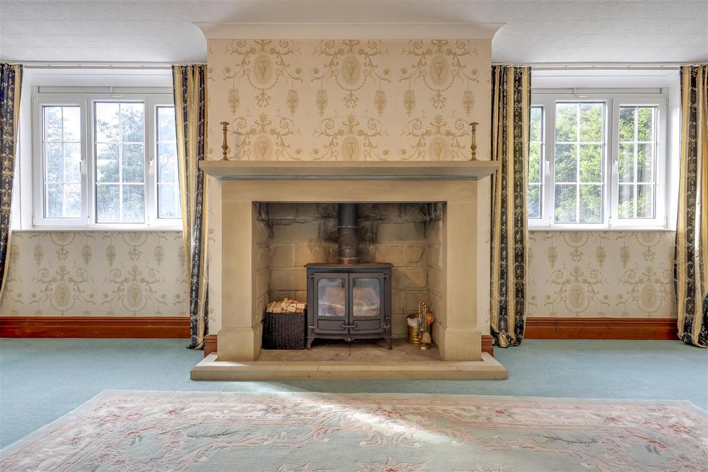 Feature Fire