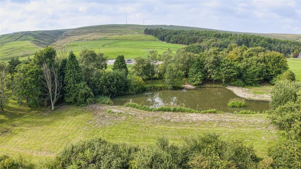 Land with Pond