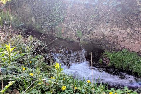 undefined, Brook Lane, Shaldon, TQ14