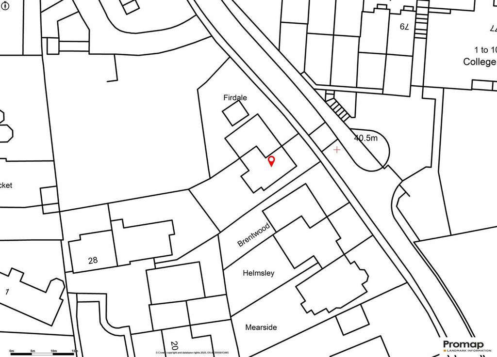 Site Plam
