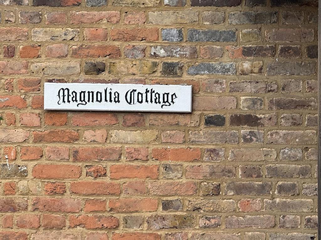 Magnolia.jpg