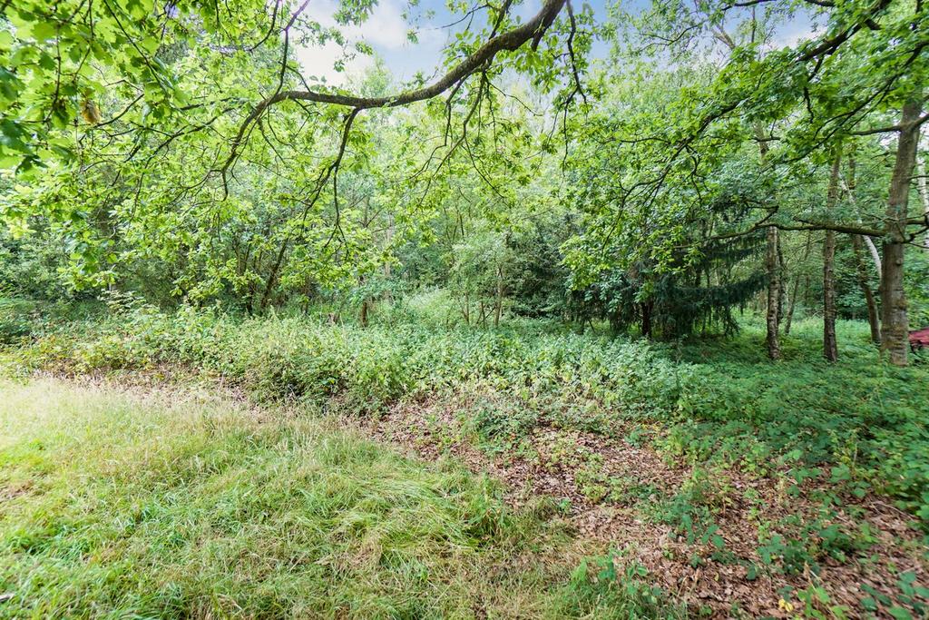 Woodland