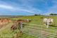 Additional image 38 of Ripponden Road, Denshaw, Saddleworth, OL3