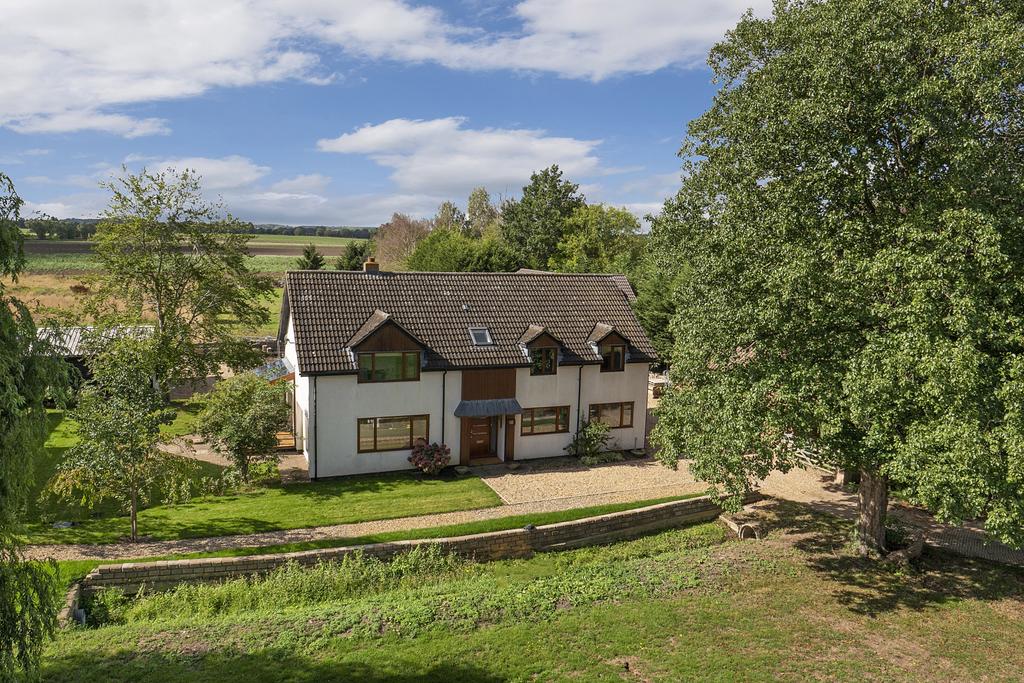 Front Aspect